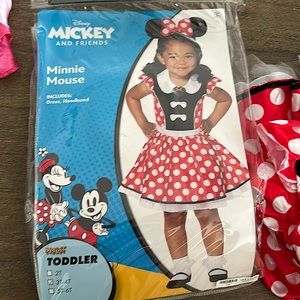Spirit Minnie outfit for 3-4T …